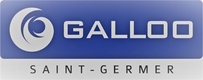 Aperçu des activités de la casse automobile GALLOO SAINT GERMER située à SAINT-GERMER-DE-FLY (60850)